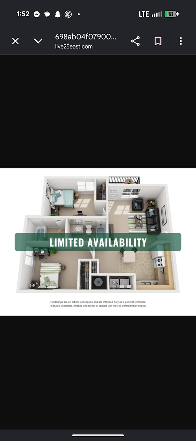 gray's room