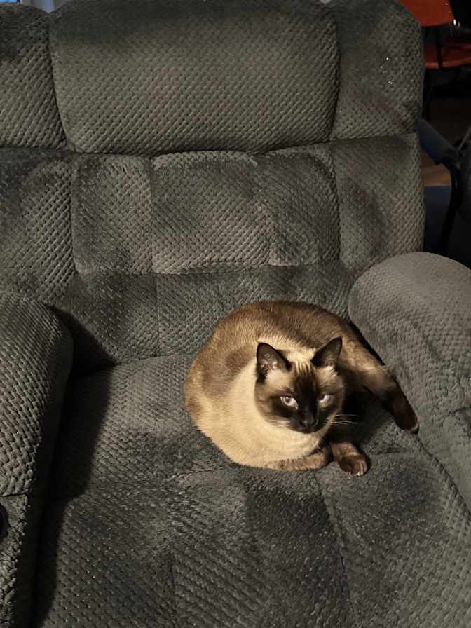 Elizabeth A Matthews's room