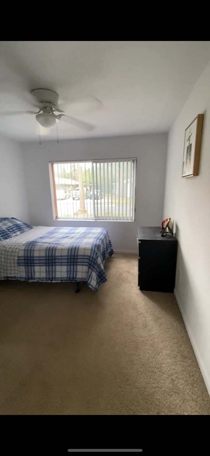 Nicolas Parra's room