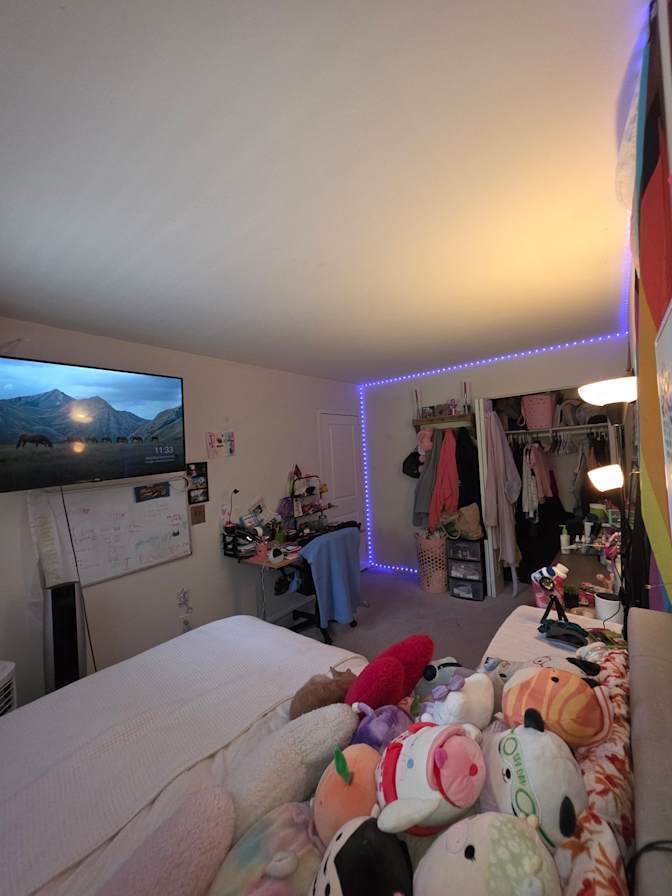 Rose's room