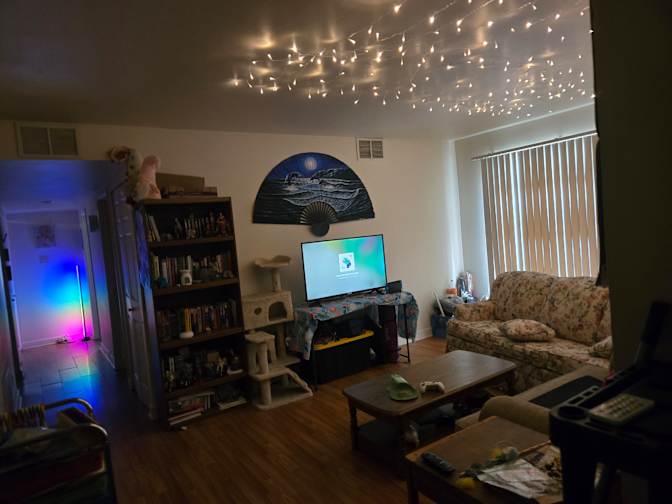 Sara Crisp's room