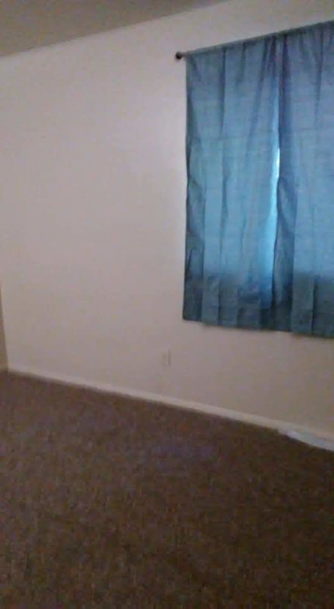 Lynne's room