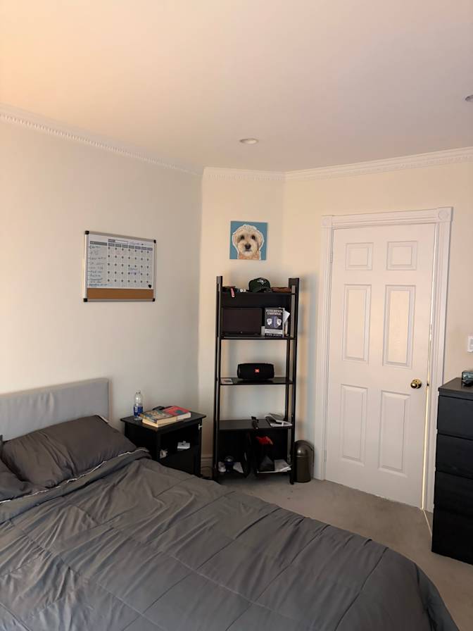 Furk's room