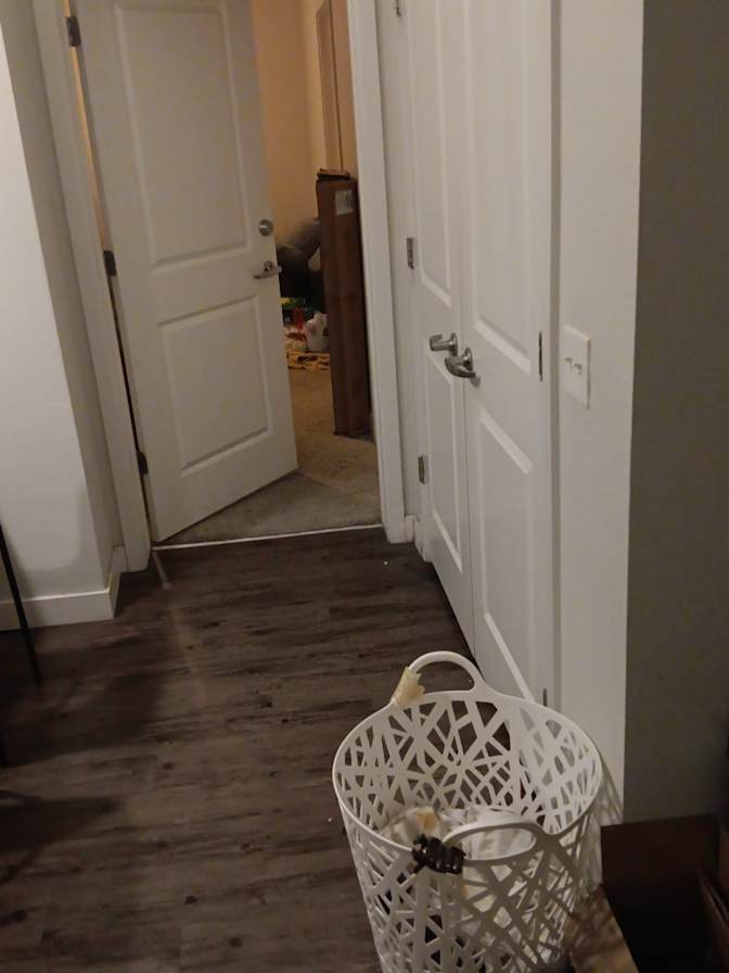 Olivia Fry's room