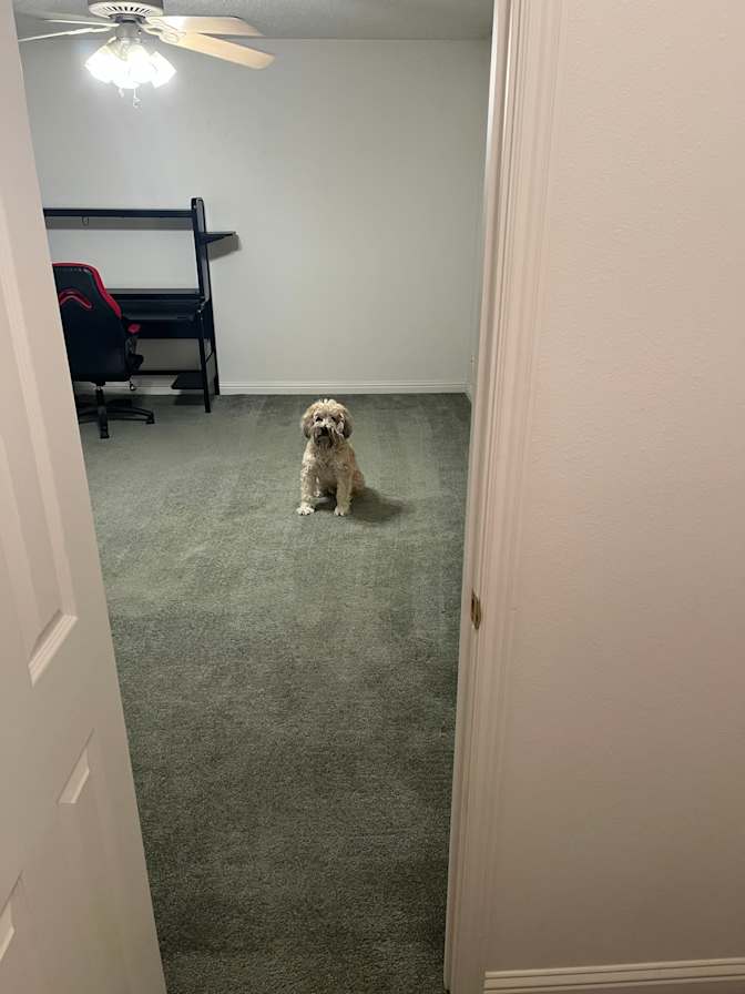 Tyson's room