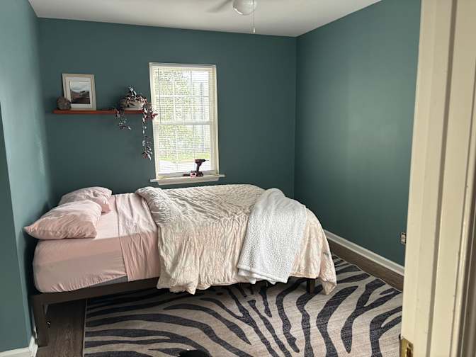 Savvy's room