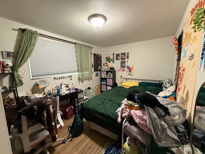 Aylin's room