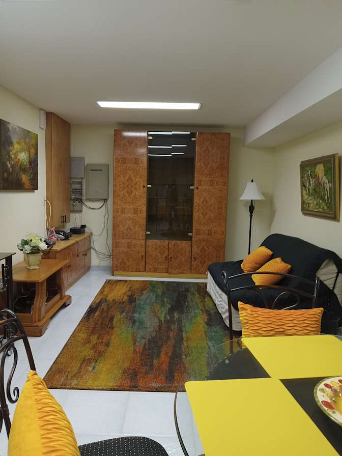 Large in house Basement Apartment shared only with a quite clean early thirties male professional's room