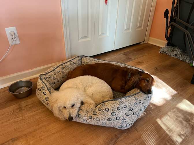 Annie's room