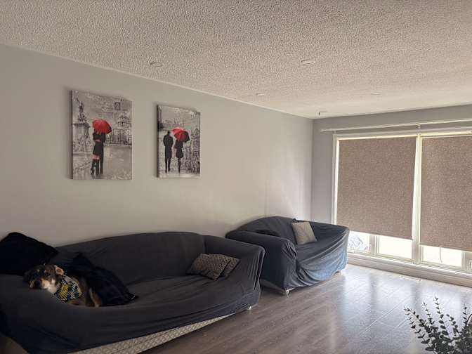 Julia Hersey's room