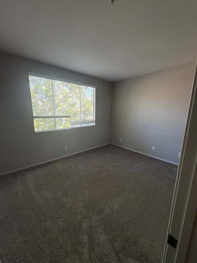 Javari's room