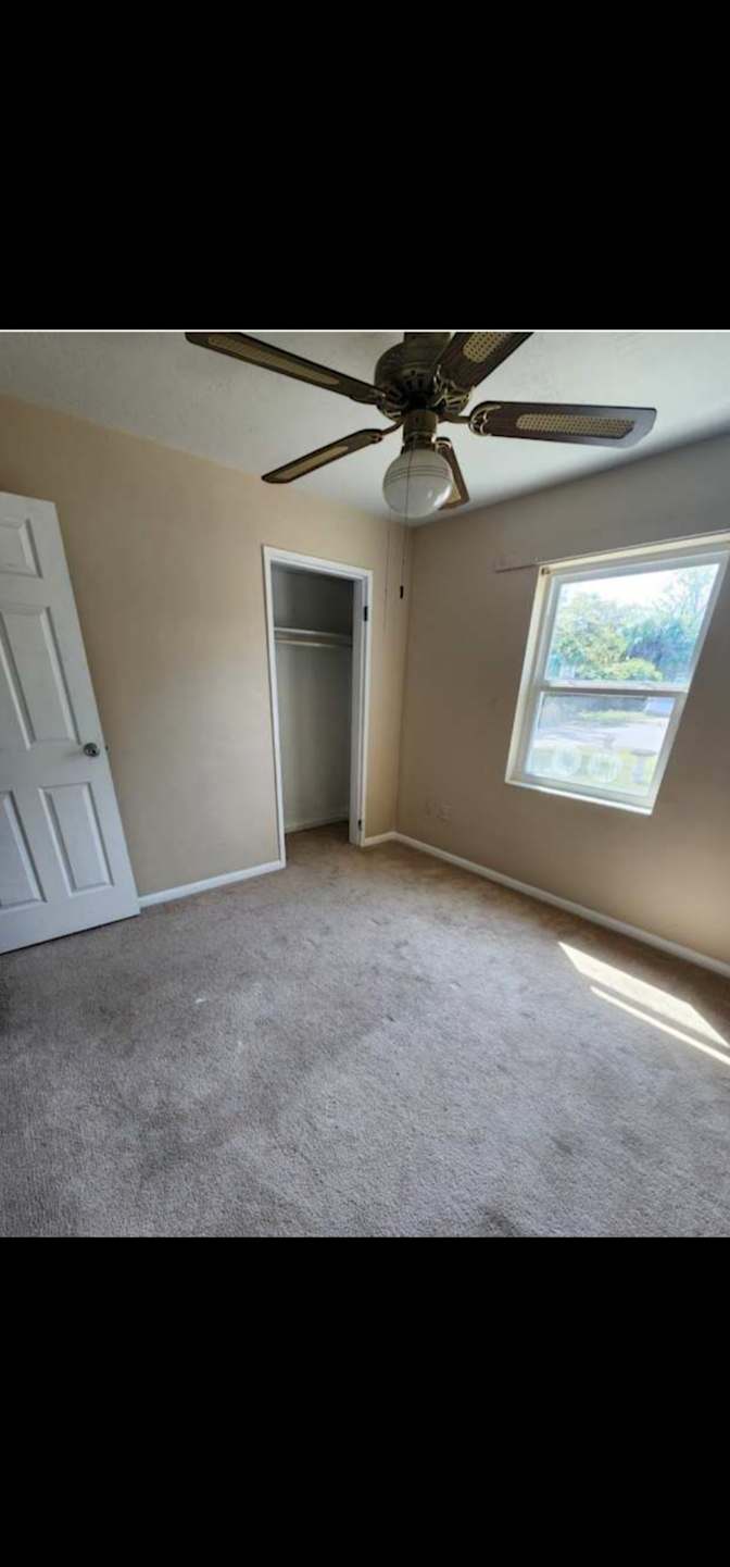 Titusville Room's room