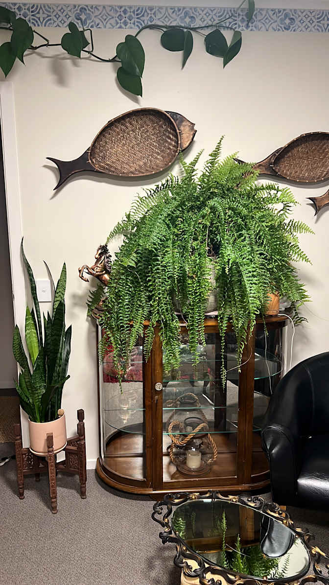 Bridgette Knox's room