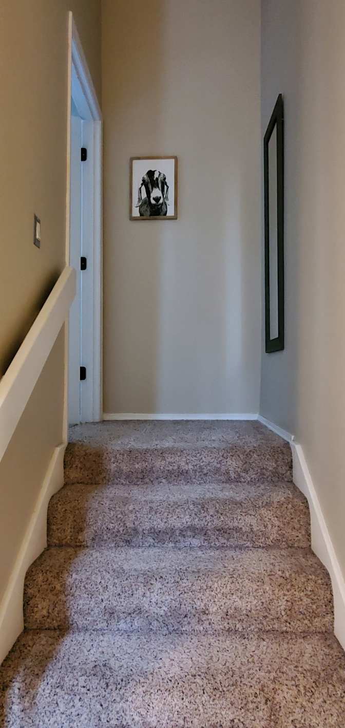 Darcy's room