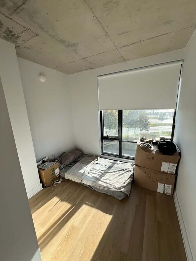 Sophia's room