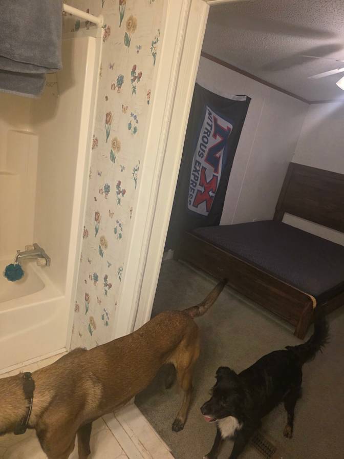 Allan's room