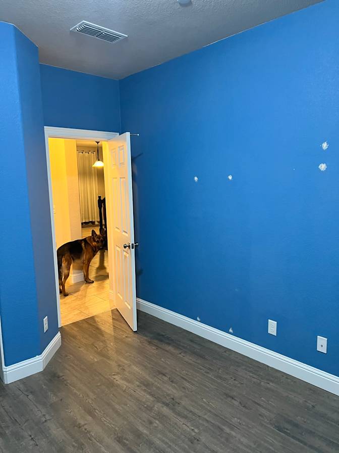 Quy's room