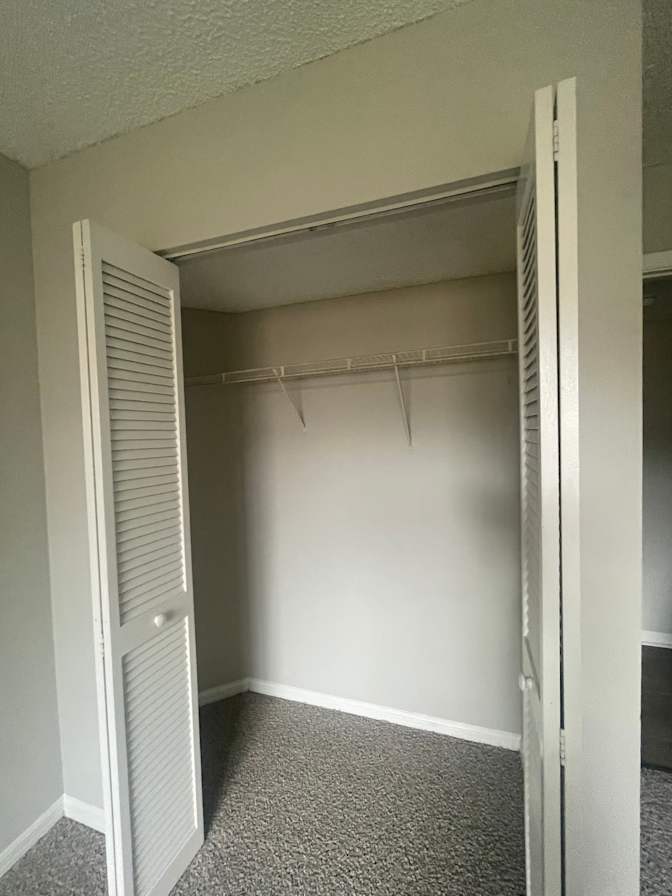Damaris's room