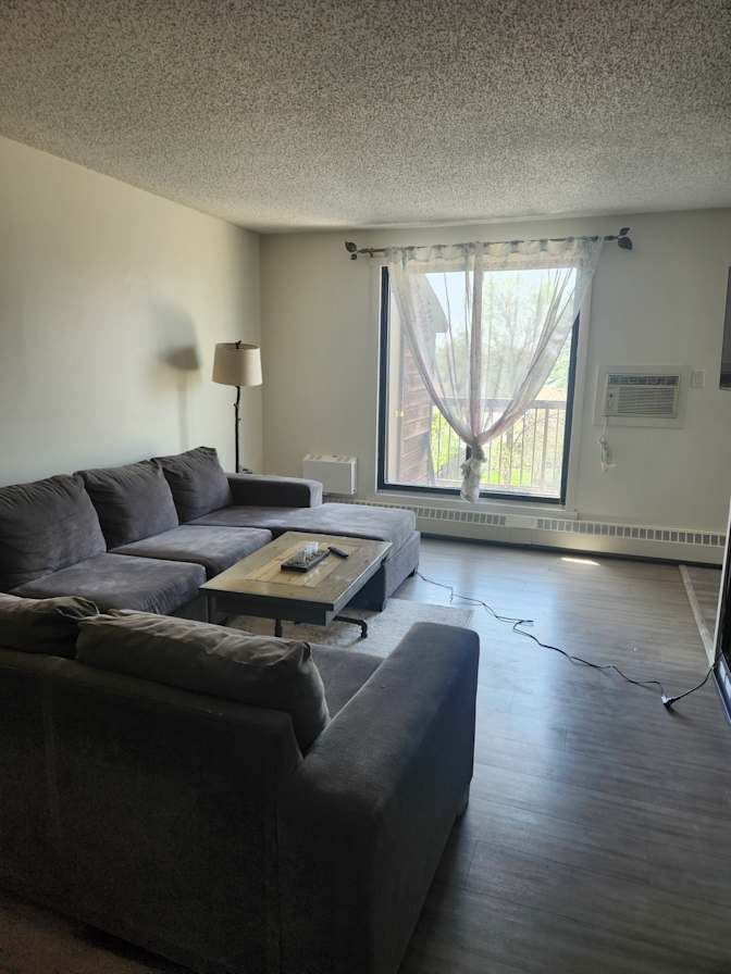 Suzanne Holmberg's room