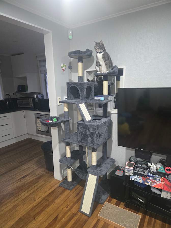 Jess mahoney's room