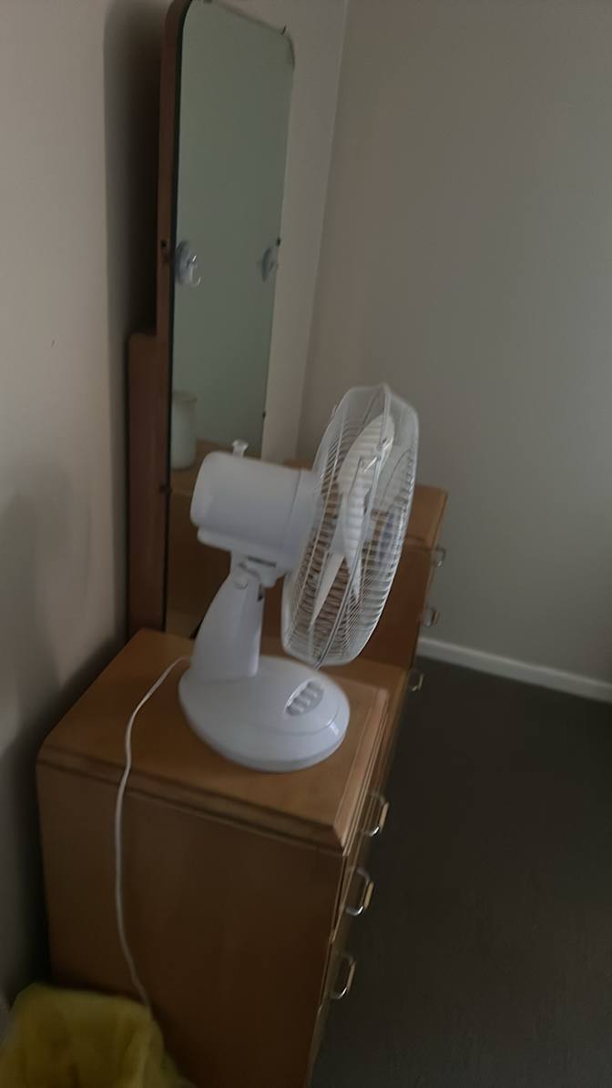 Nicolette's room