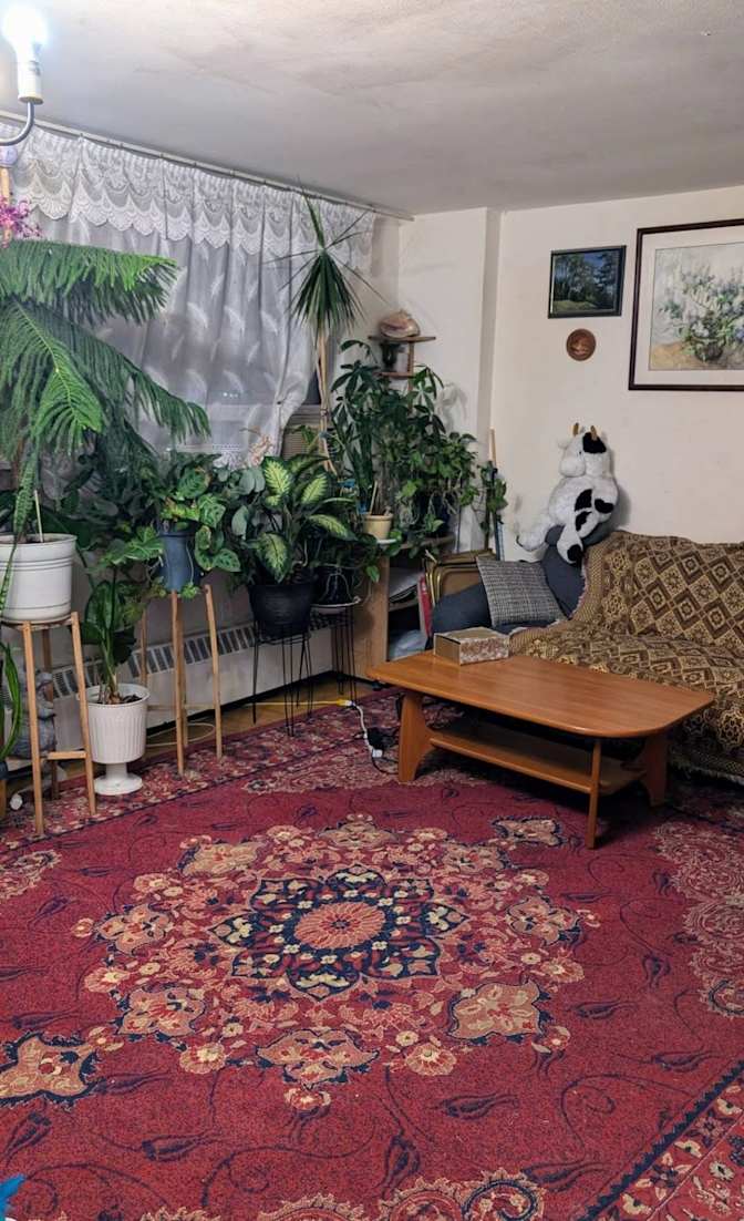 Irina's room