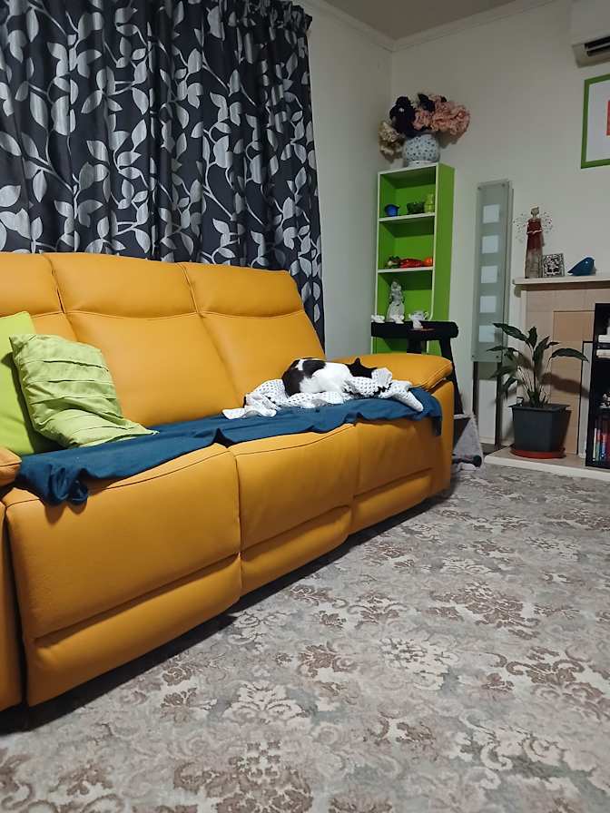 Jenny's room