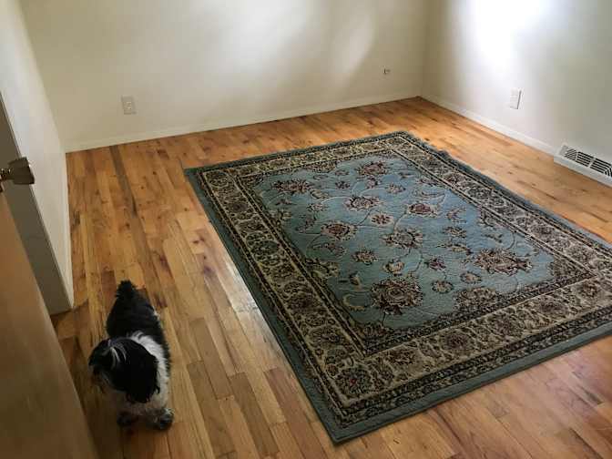 Gwyn's room