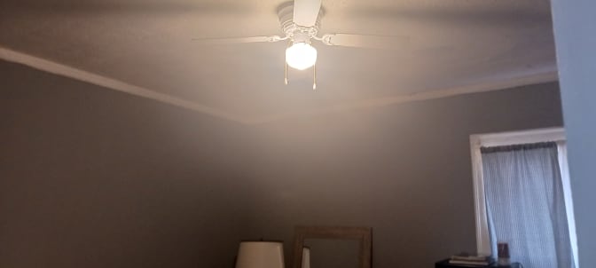 VENUS's room