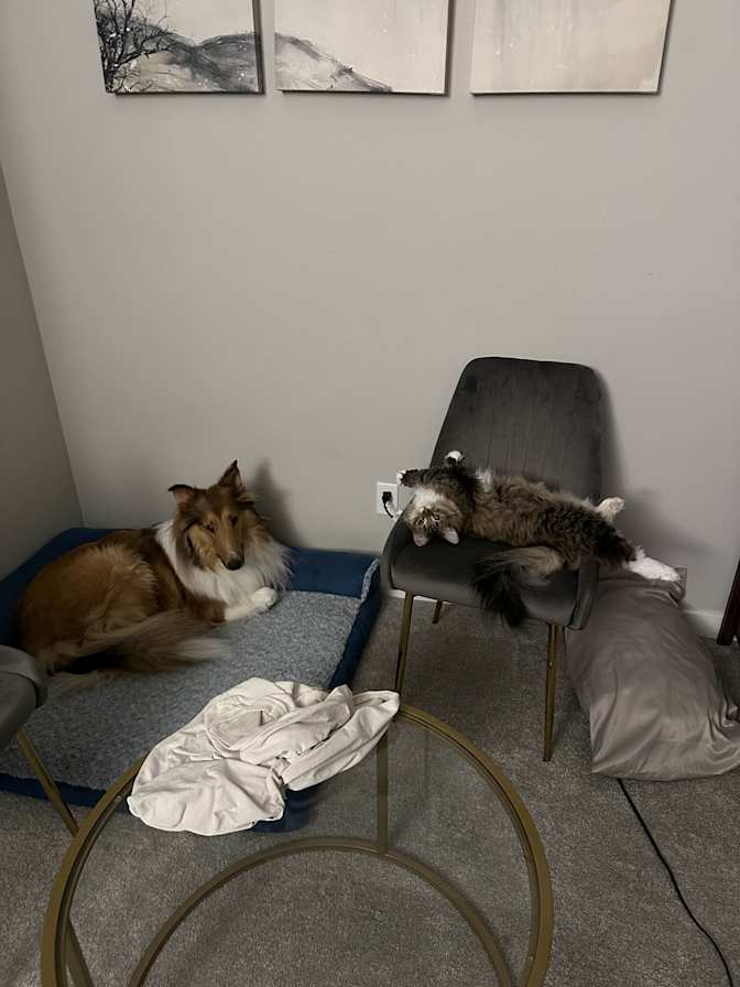 Devin's room
