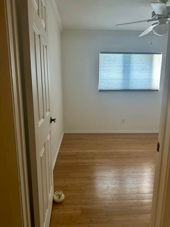 Janelle's room