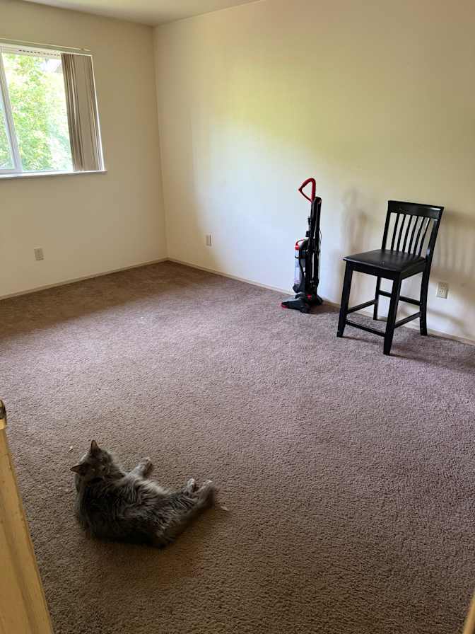 Emily's room