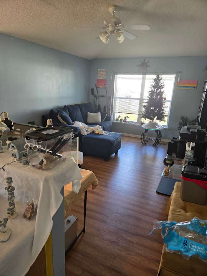 Tim's room
