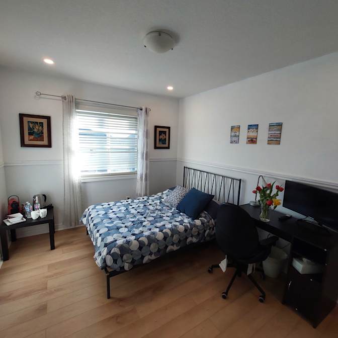 Nikoo Zohadi's room