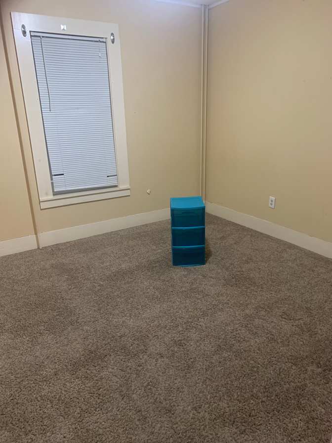 Cat's room