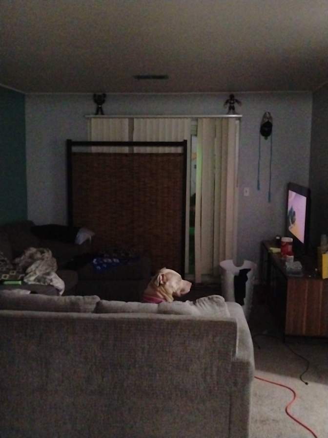 Jason's room