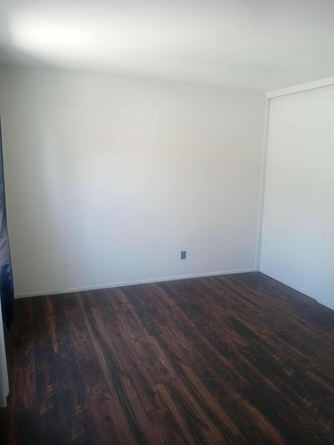 Molly's room