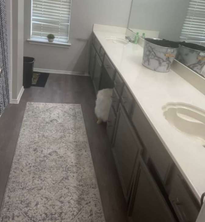 Jessica's room