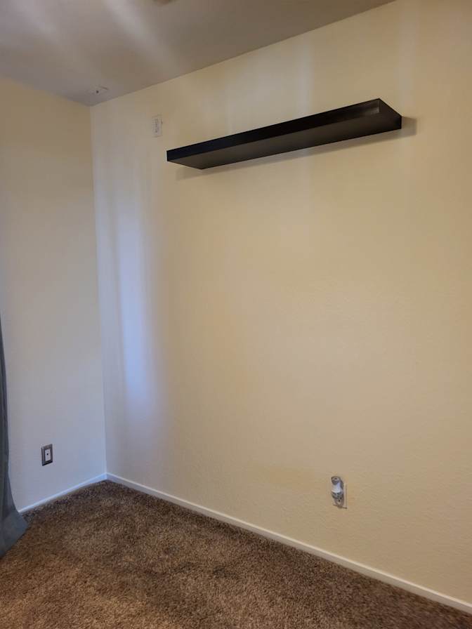 Mary's room