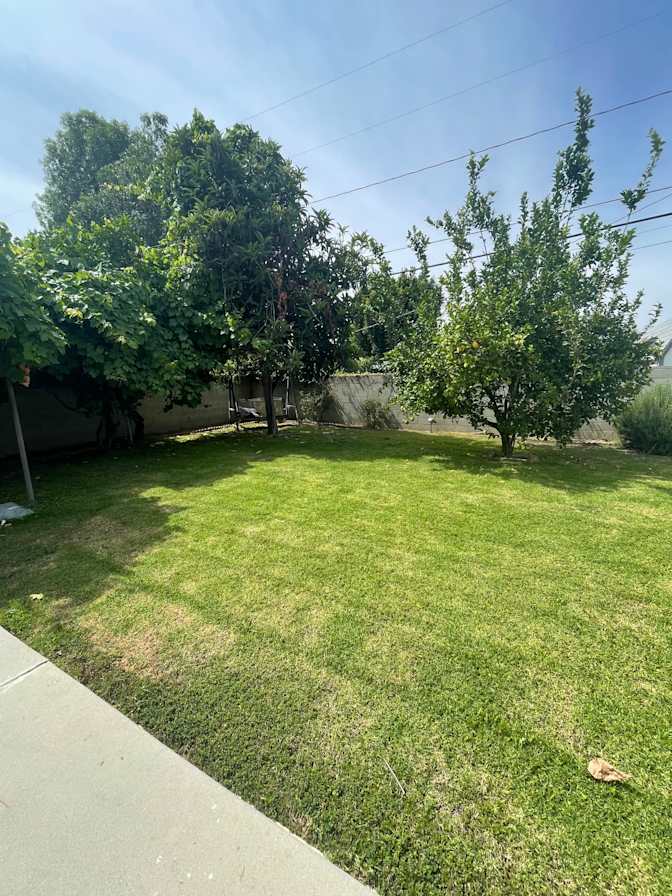 Nancy Belcher's room