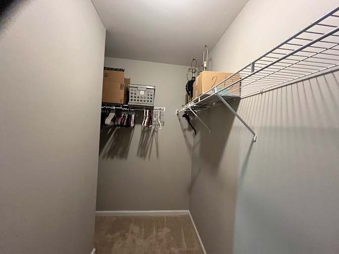 Room for Rent's room