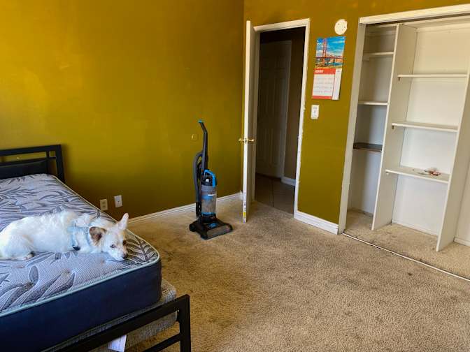 Andy's room