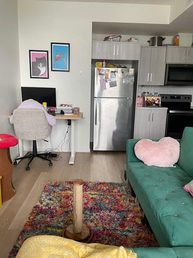 Alison Elewa's room