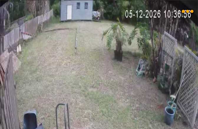 Michelle's room