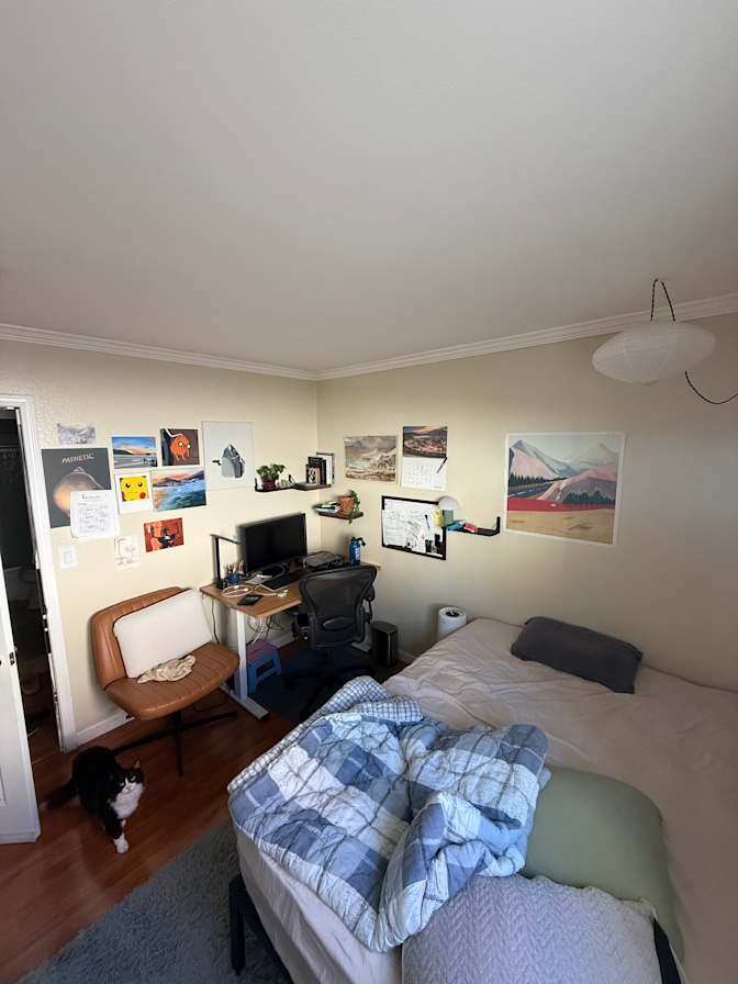 Peter's room
