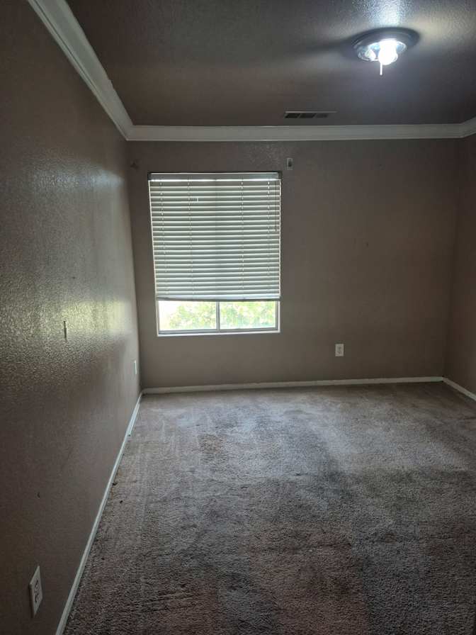 Jamila's room