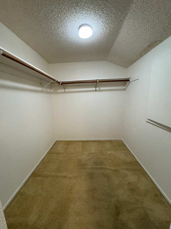 Tammy's room