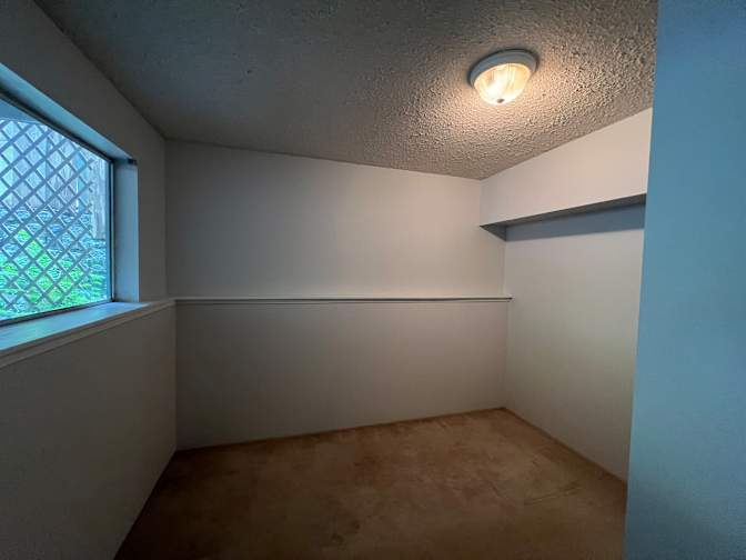Neda salahi's room