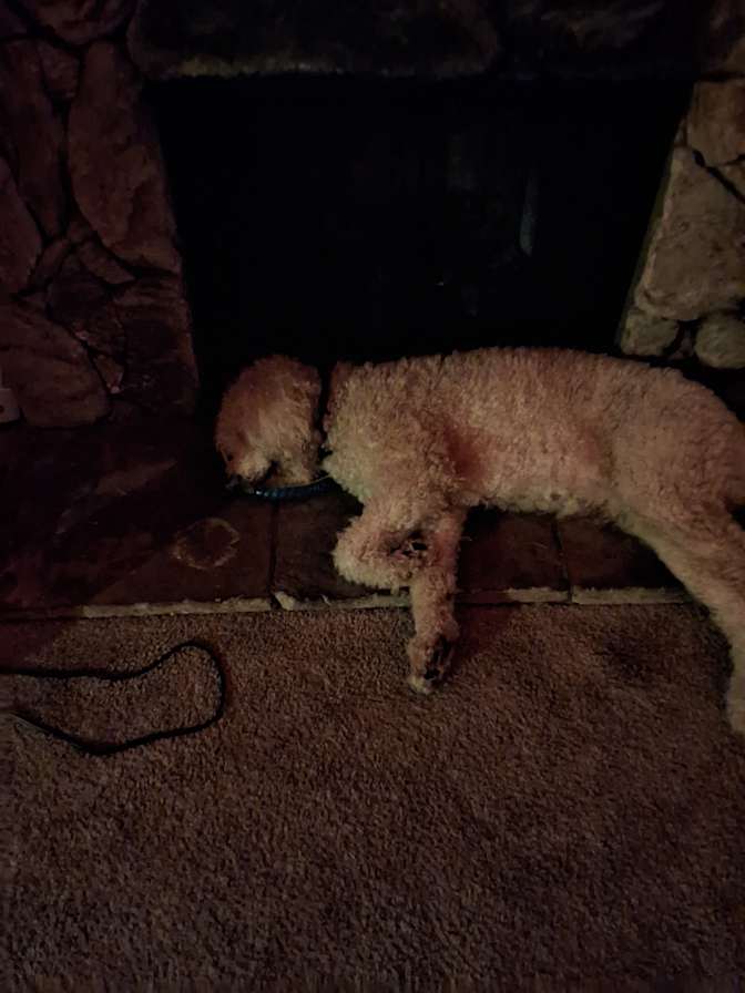 Giovanna Winter's room