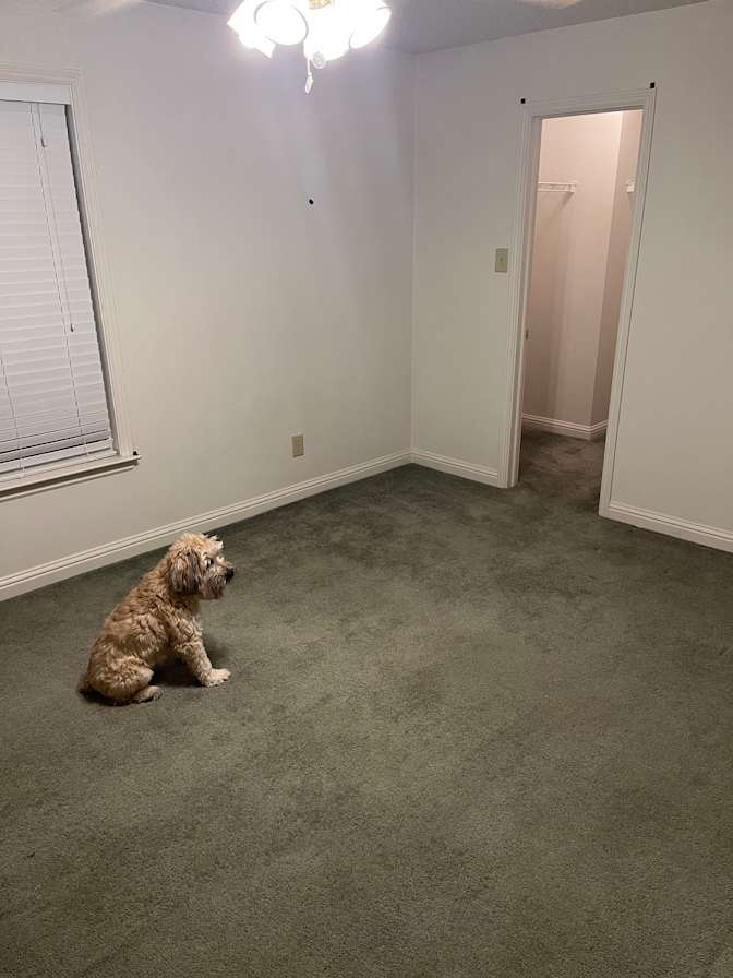 Tyson's room